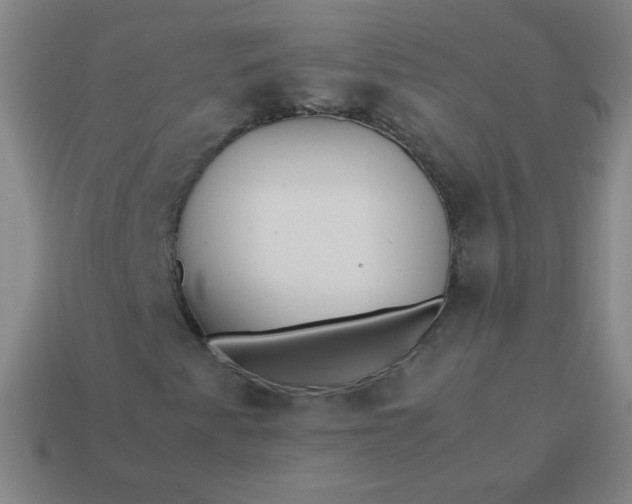 X0000114061345200910191452