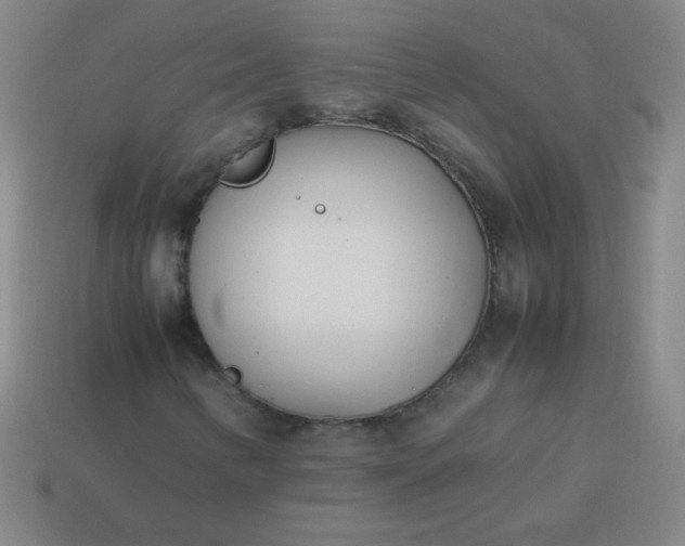 X0000114061346200910191452