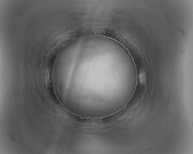 X0000114061347200910191452