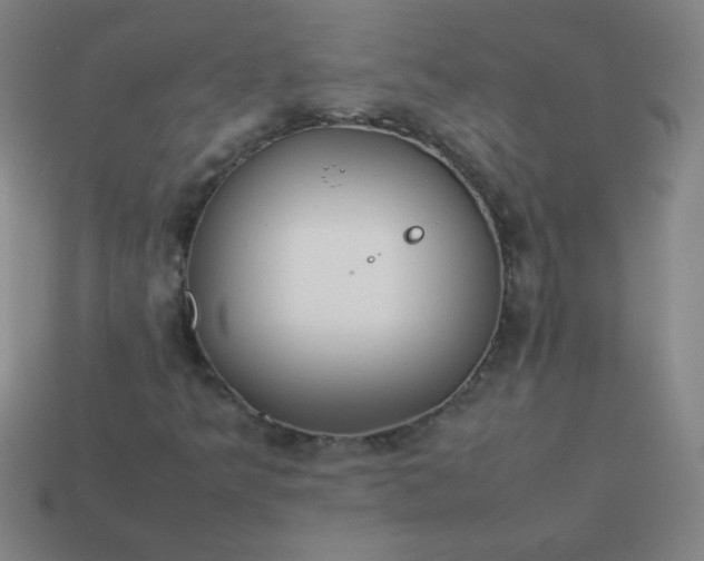 X0000114061349200910191452