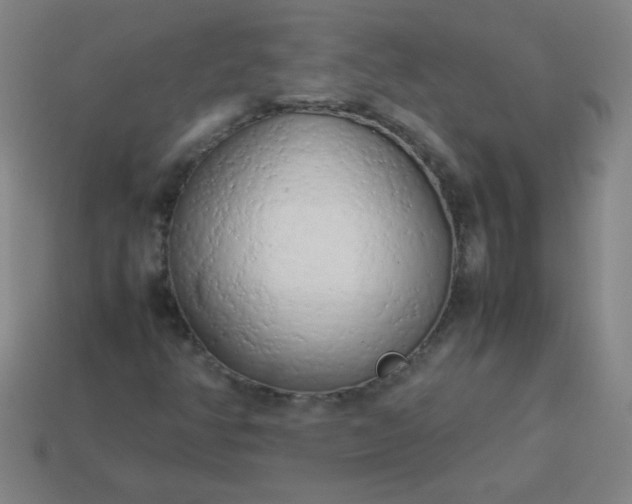 X0000114061350200910191452