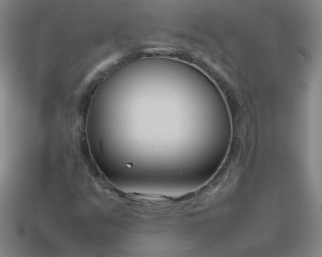 X0000114061351200910191451