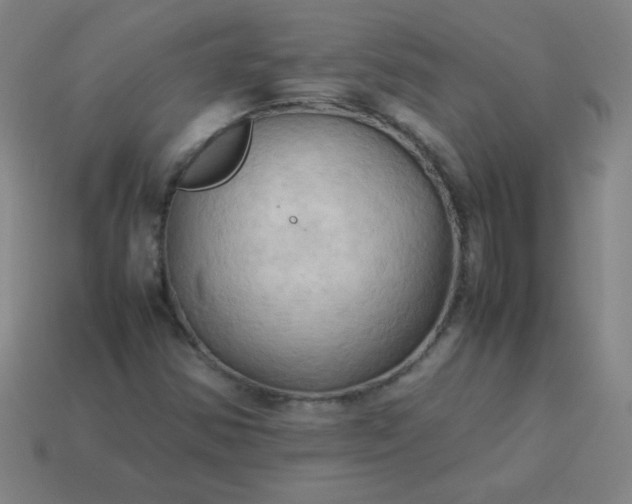 X0000114061354200910191451