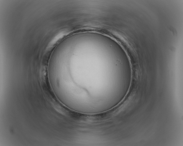 X0000114061355200910191451