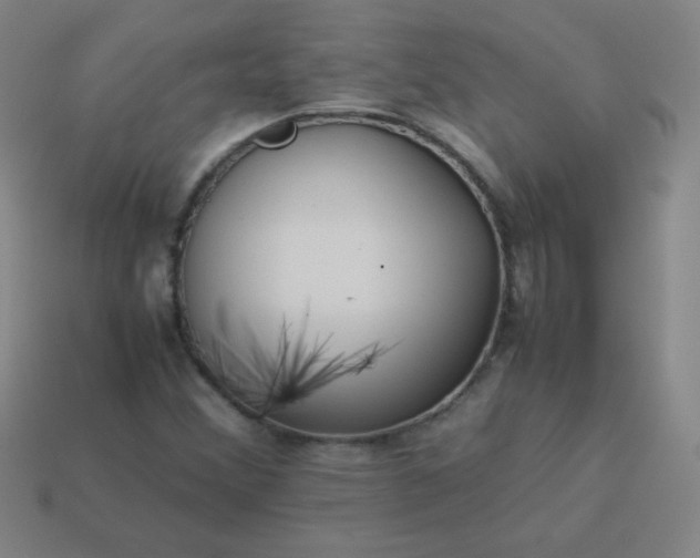 X0000114061356200910191451