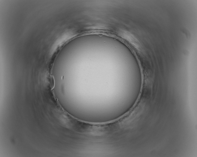 X0000114061357200910191451