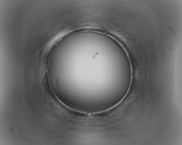 X0000114061359200910191451