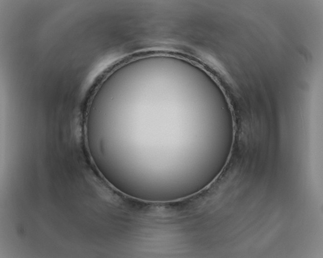 X0000114061360200910191451