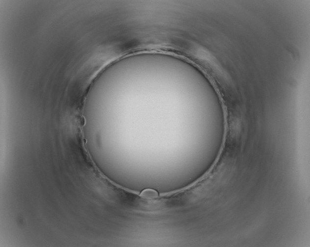 X0000114061361200910191451