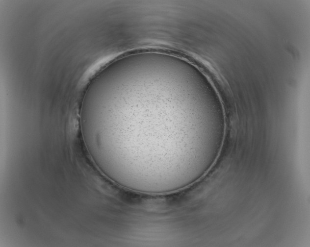 X0000114061363200910191451