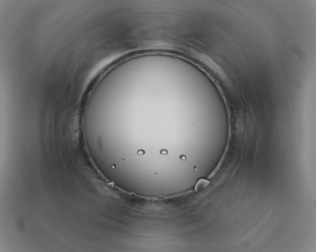 X0000114061364200910191451