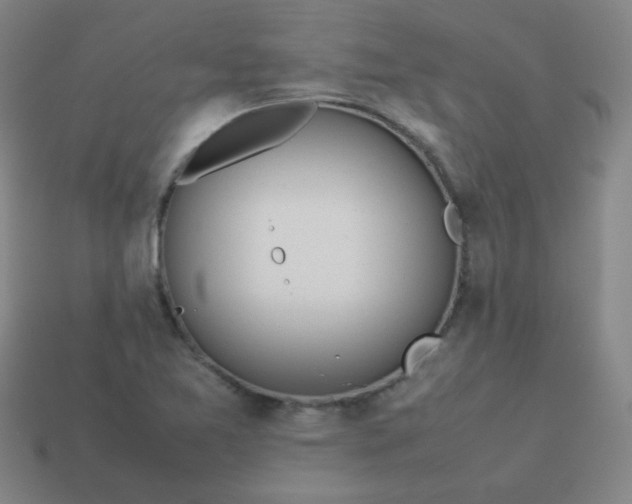 X0000114061365200910191451