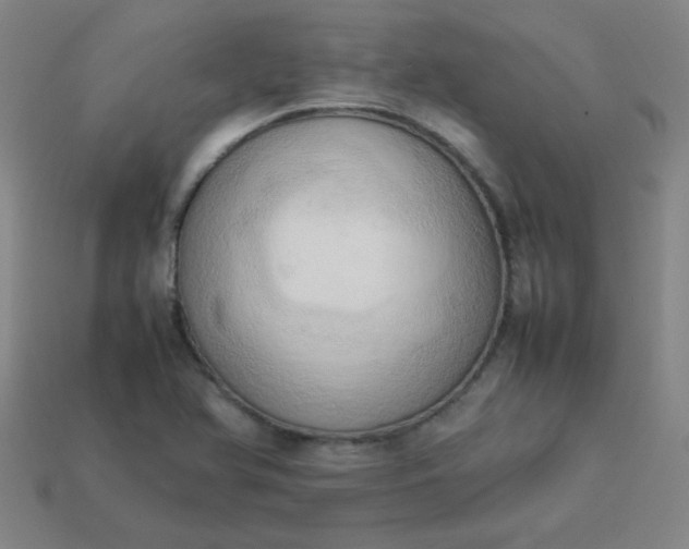 X0000114061366200910191451