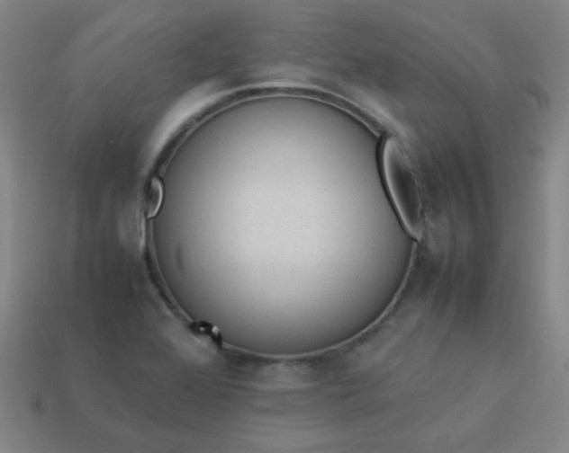 X0000114061368200910191451