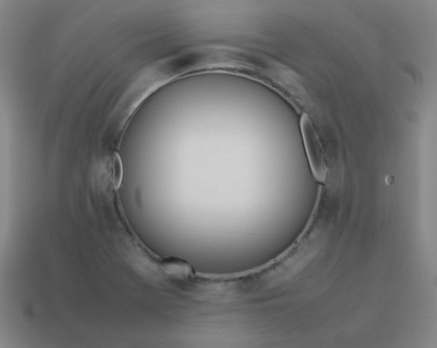 X0000114061369200910191451