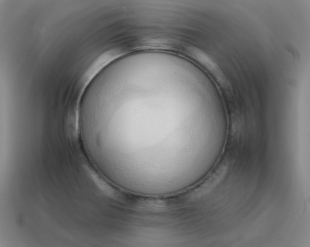 X0000114061370200910191451