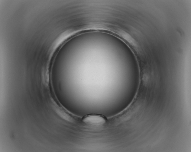 X0000114061372200910191451