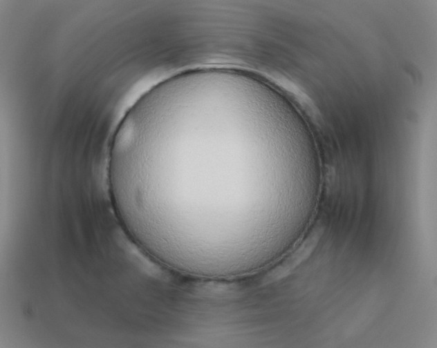 X0000114061374200910191451