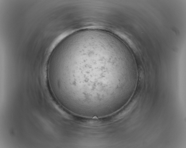 X0000114061375200910191451