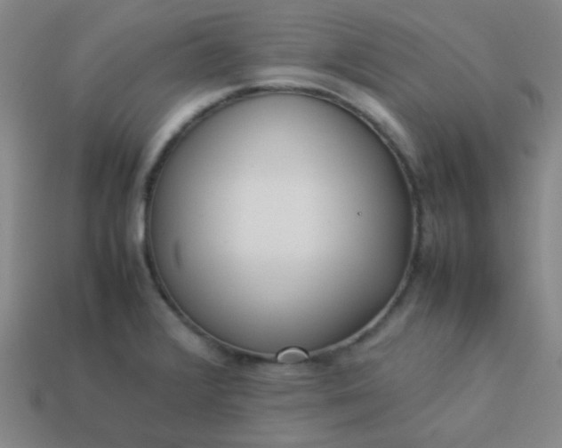 X0000114061376200910191451