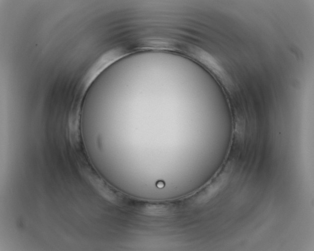 X0000114061378200910191451