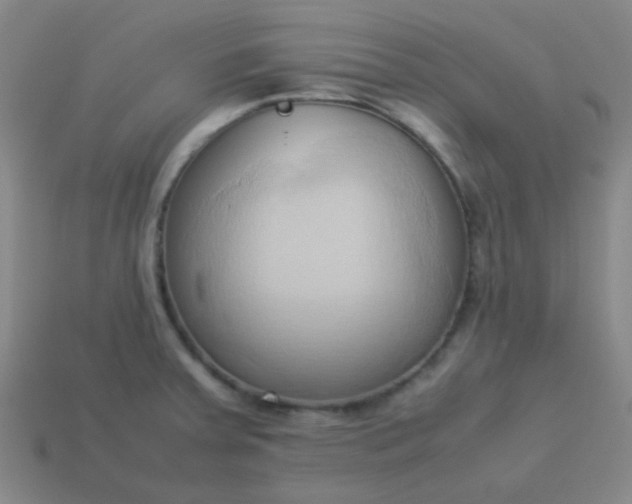 X0000114061379200910191451