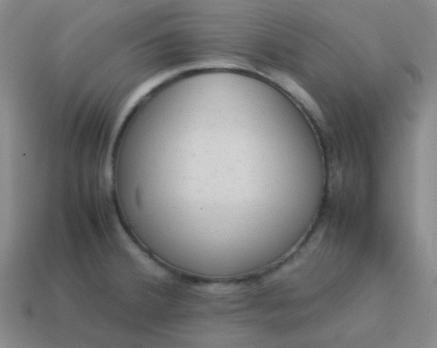 X0000114061380200910191451