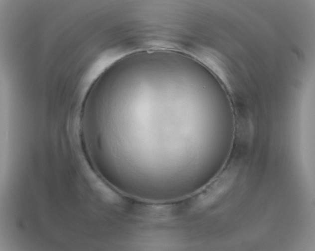 X0000114061381200910191451