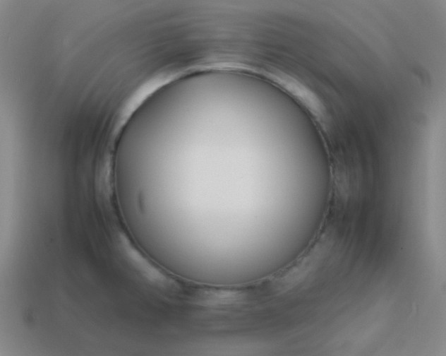 X0000114061382200910191451