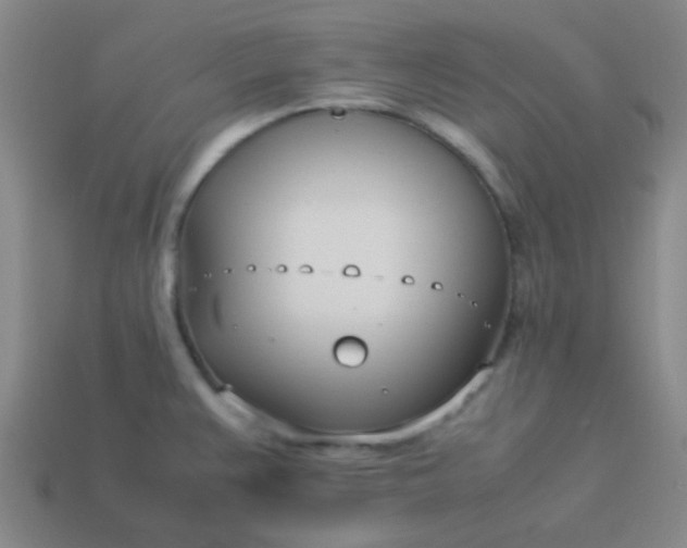 X0000114061383200910191451