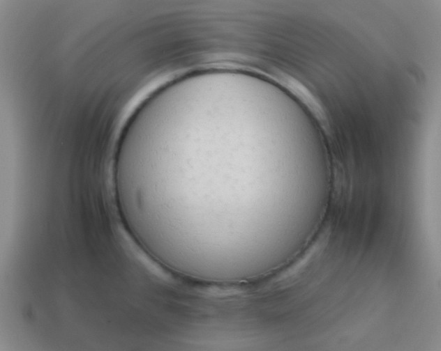 X0000114061384200910191451