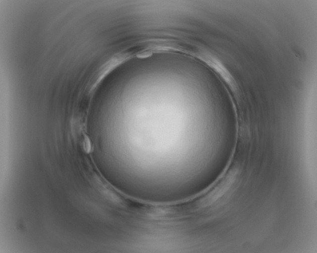 X0000114061385200910191451