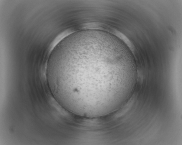 X0000114061386200910191451