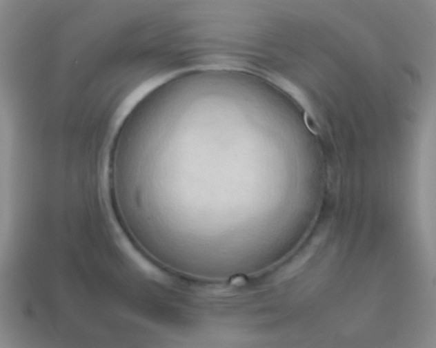 X0000114061387200910191451