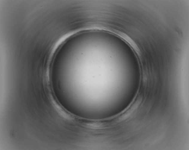 X0000114061388200910191451