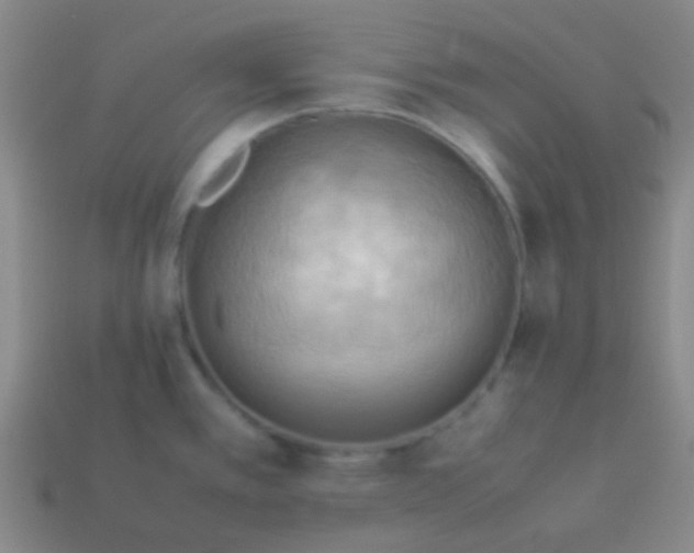 X0000114061389200910191451