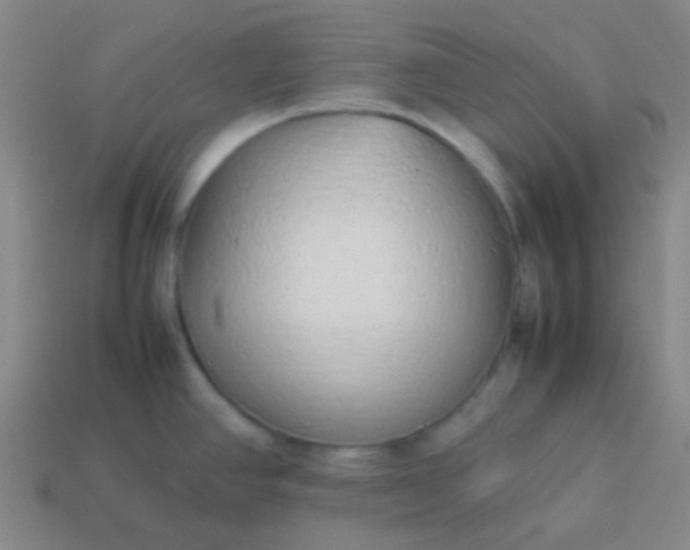 X0000114061390200910191451