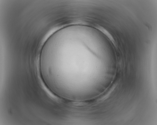 X0000114061391200910191451