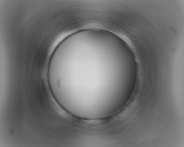 X0000114061392200910191451