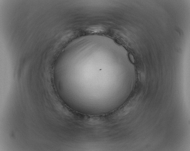 X0000114061393200910191450