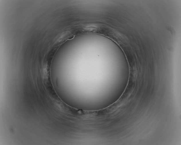 X0000114061394200910191450