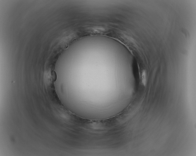 X0000114061395200910191450