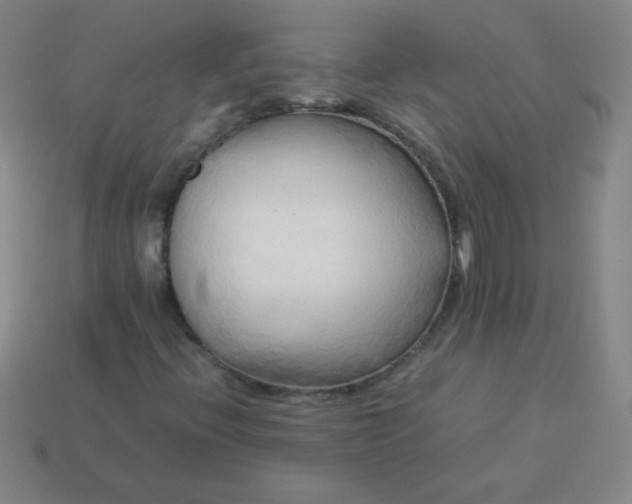 X0000114061396200910191450