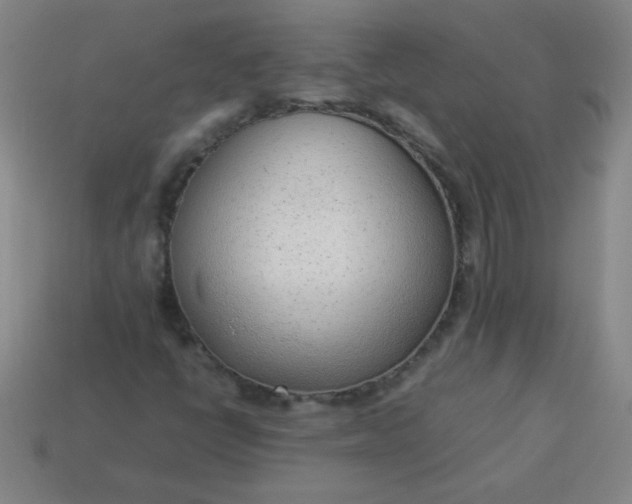 X0000114061398200910191450