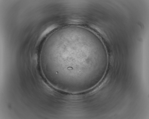 X0000114061402200910191450