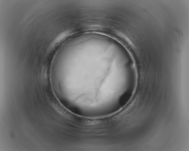 X0000114061403200910191450