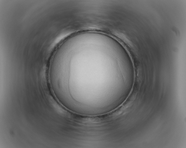 X0000114061404200910191450