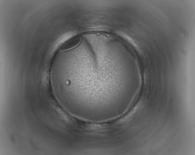 X0000114061405200910191450