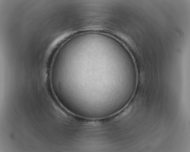 X0000114061406200910191450