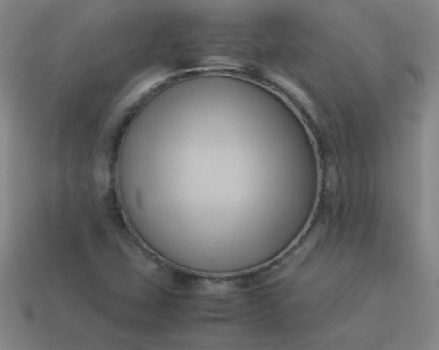 X0000114061407200910191450